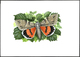 Delcampe - 11128 Thematik: Tiere-Schmetterlinge / Animals-butterflies: 1998, TAJIKISTAN: Native BUTTERFLIES Set Of Fo - Papillons