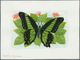 11131 Thematik: Tiere-Schmetterlinge / Animals-butterflies: 2001, SAO TOME E PRINCIPE: Native BUTTERFLIES - Papillons