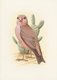 11179 Thematik: Tiere-Vögel / Animals-birds: 1985 (ca.), WEST SAHARA: Prepared But UNISSUED Set Of Five BI - Sonstige & Ohne Zuordnung