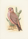 11179 Thematik: Tiere-Vögel / Animals-birds: 1985 (ca.), WEST SAHARA: Prepared But UNISSUED Set Of Five BI - Autres & Non Classés