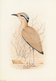 Delcampe - 11179 Thematik: Tiere-Vögel / Animals-birds: 1985 (ca.), WEST SAHARA: Prepared But UNISSUED Set Of Five BI - Sonstige & Ohne Zuordnung