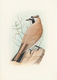 Delcampe - 11179 Thematik: Tiere-Vögel / Animals-birds: 1985 (ca.), WEST SAHARA: Prepared But UNISSUED Set Of Five BI - Sonstige & Ohne Zuordnung