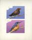 11180 Thematik: Tiere-Vögel / Animals-birds: 1986, Niue: STAMPEX'86, Birds - Final Drawing For Nomination - Autres & Non Classés