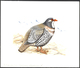 Delcampe - 11190 Thematik: Tiere-Vögel / Animals-birds: 1996, TAJIKISTAN: Threatened BIRDS Set Of Six Different Origi - Sonstige & Ohne Zuordnung