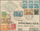 11780 Brasilien - Privatflugmarken Varig: 1931 VARIG 350r. Red On DOX Cover From Porto Alegre To New York, - Luftpost (private Gesellschaften)