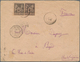 12171 Madagaskar: 1893, Letter With Two Copies Of 25 Cent Type Sage Sent From French Post Office TANANARIV - Altri & Non Classificati