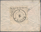 13259 Katastrophenpost: 1892, Umschlag Aus PULLMAN, Wash, USA Mit Diversen Beschädigungen Und Rückseitigem - Sonstige & Ohne Zuordnung