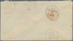 13665A Frankreich: 1883, 25 C Bister/yellow Sage, Single Franking On Cover From BOULOGNE-S-MER, 2 MARS 83, - Gebraucht