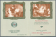 13918 Frankreich - Markenheftchen: 1962, Red Cross Stamp Booklet With In Each Case Four Stamps In The Scar - Sonstige & Ohne Zuordnung