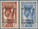 14038 Frankreich - Militärpost / Feldpost: 1940, "Richelieu" Overprints, Senegal 1fr. And 1.75fr., Two Val - Timbres De Franchise Militaire