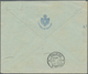 Delcampe - 14875 Italien - Stempel: "ROMA CAMERA DEL DEPUTATI" Clear On Two Preprinting Covers 1924 And 1925 (one "Il - Marcophilie