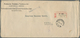 15957 Russland - Post Der Bürgerkriegsgebiete: Transbaikal-Gebiet: Chita Republic, 1919/20 Two Registered - Sonstige & Ohne Zuordnung