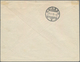 16145 Schweiz - Halbamtliche Flugmarken: 1913, Flugpost Laufen-Solothurn: 50 Rp. Grün, Entwertet Mit Viole - Gebraucht