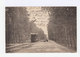 Paris Plage. Le Tramway Dans La Forêt. Avec Cyclistes. (2821) - Tramways