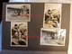 Delcampe - Album De + De 160 Photos - CALVI ( Corse ) - Le Club Olympique - Vers 1950 - Sport Plage Activité Homme Femme Avion - Places