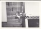 PHOTO----AVIATION--( Maquette D'avion Jouet )--voir  2 Scans - Aviation