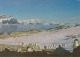 Ile Petermann - La Côte à La Belle Saison, Les Manchots Prennent Le Soleil - Photo Serge Kahn - Circulé 2000 - TAAF : French Southern And Antarctic Lands