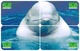 DOLPHIN 3 PUZZLE OF 12 PHONE CARDS - Delfines