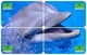 DOLPHIN 3 PUZZLE OF 12 PHONE CARDS - Dauphins