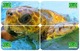 ISRAEL TURTLE TORTOISE 2 PUZZLES OF 8 CARDS - Tortugas