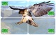 BIRD HAWK 2 PUZZLE OF 8 PHONE CARDS - Águilas & Aves De Presa