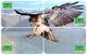 BIRD HAWK 2 PUZZLE OF 8 PHONE CARDS - Aquile & Rapaci Diurni