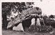 86.  POITIERS.  DOLMEN DE LA PIERRE LEVÉE. ANNÉES 40 - Dolmen & Menhirs