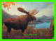 ANIMAUX - ORIGNAL -  MOOSE - CARTE EN 3 DIMENSIONS - TRAVEL IN 1973 -  ASAHI TRADING CO - - Autres & Non Classés