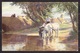 PAUL HEY - HORSES DRINKING WATER, Posted In 1923. Condition, See The Scans. - Horses