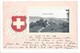 19786 - Erlach Cerlier Armoiries Suisses Carte En Relief - Cerlier