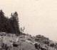 Acadia National Park Mount Desert Island Little Hunters Beach Ancienne Carte Photo 1949 - Autres & Non Classés