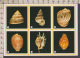 89793GF/ FAUNE AQUATIQUE, Coquillages Divers, Noms Au Verso - Pescados Y Crustáceos