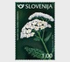 Slovenië / Slovenia - Postfris / MNH - Complete Set Bloemen 2018 - Slovenië