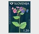 Slovenië / Slovenia - Postfris / MNH - Complete Set Bloemen 2018 - Slovenië