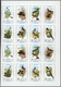 Delcampe - 22057 Adschman / Ajman: 1970/1972, Comprehensive U/m Collection Of Complete Sheets/large Units In Three Bi - Adschman