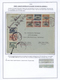 Delcampe - 22279 Bolivien: 1923/37 - BOLIVIA AIR MAIL: A Magnificent Study Of The Evolution Of Air Mail In Bolivia, O - Bolivie