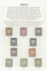 22325 Brunei: 1895, Definitives "Star And Local Scene", Specialised Collection Of 55 Stamps On Album Page - Brunei (1984-...)