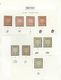 22325 Brunei: 1895, Definitives "Star And Local Scene", Specialised Collection Of 55 Stamps On Album Page - Brunei (1984-...)