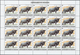 22333 Burundi: 1982, African Wildlife Complete Set Of 13 From 2fr. To 85fr. (Lion, Giraffe, Rhinoceros, El - Neufs