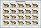 Delcampe - 22333 Burundi: 1982, African Wildlife Complete Set Of 13 From 2fr. To 85fr. (Lion, Giraffe, Rhinoceros, El - Neufs