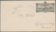 22657 Hawaii - Ganzsachen: 1890-1900, 25 Postal Stationery Cards And Envelopes, Mint And Used Including Co - Hawaï