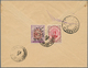 Delcampe - 22810 Iran: 1880-1925, Collection Of 160 Covers / Stationerys From Classics To Modern With Many Different - Iran