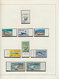 23619 Marokko: 1962/1981, U/m Collection Of Apprx. 360 Different IMPERFORATE Stamps, Neatly Arranged On Al - Maroc (1956-...)