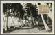 23683 Nauru: 1932, Definitives "Freighter Century", Group Of Twelve Different B/w Ppc, Franked On Picture - Nauru