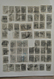 23691 Nepal: 1881-1903. Beautiful Lot Classic Nepal On Albumpages, Including Many Multiples, Cancels, (pla - Népal