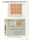 Delcampe - 23794 Palästina: 1918-1927, Exhibition Collection "PALESTINE STAMPS & COVERS FROM 1918 - 1927" On 80 Leave - Palestine