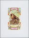 23906 Ras Al Khaima: 1972, U/m Collection In A Thick Stockbook With Attractive Thematic Issues Like Birds, - Ras Al-Khaima