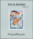 Delcampe - 23906 Ras Al Khaima: 1972, U/m Collection In A Thick Stockbook With Attractive Thematic Issues Like Birds, - Ras Al-Khaima