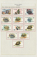 24010 Schardscha / Sharjah: 1963/1972, Mint And Used Collection/accumulation In A Binder With Plenty Of Ma - Sharjah