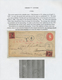 Delcampe - 24520 Alle Welt: 1890/1960 (ca.) A Scarce Worldwide POSTAGE DUE / TAX Exhibition-collection In Three Album - Collections (sans Albums)